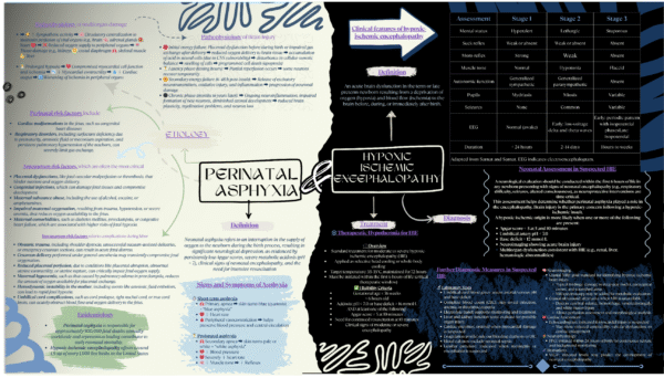 Educational infographic explaining Perinatal Asphyxia and Hypoxic Ischemic Encephalopathy (HIE) with signs, diagnosis, EEG findings, and treatment.