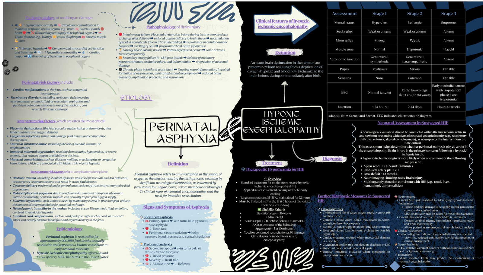 Educational infographic explaining Perinatal Asphyxia and Hypoxic Ischemic Encephalopathy (HIE) with signs, diagnosis, EEG findings, and treatment.