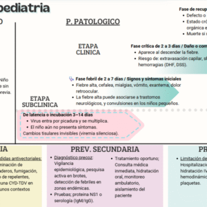 "Infografía clínica de la historia natural del dengue en pediatría: fases, síntomas, prevención primaria, secundaria y terciaria."