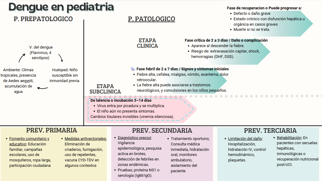 "Infografía clínica de la historia natural del dengue en pediatría: fases, síntomas, prevención primaria, secundaria y terciaria."